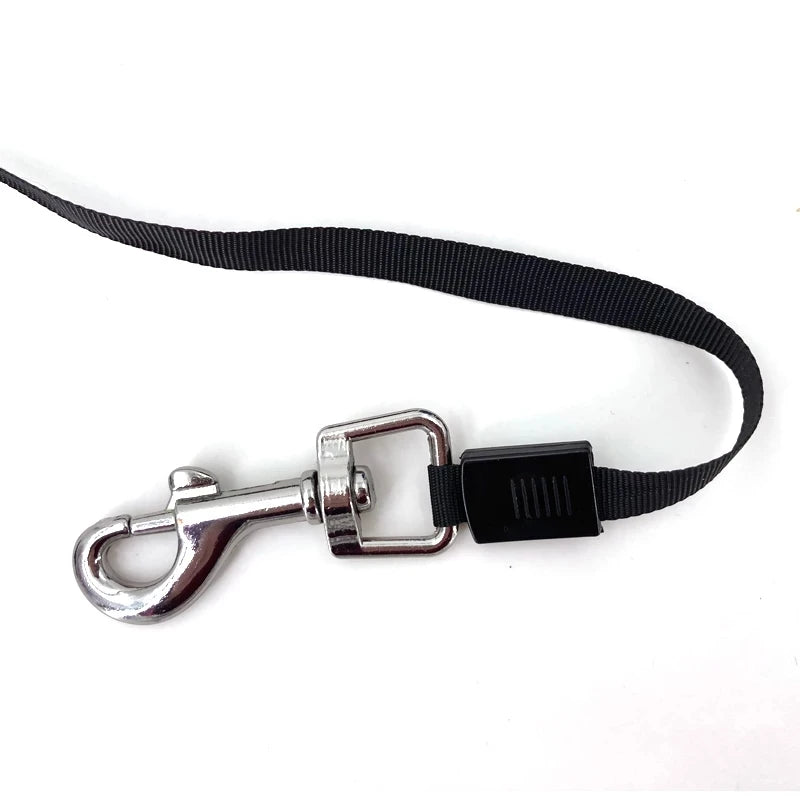 3 and 5 Meters Retractable Dog Leash